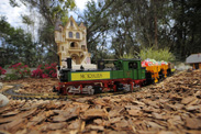 A Miniature Train in the Morales Family's Backyard - ‘My Yard Goes Disney’
