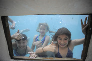 The Castro Family's Yard Gets a Makeover Inspired by The Little Mermaid ~ Ariel’s Undersea Adventure on 'My Yard Goes Disney'