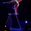Party for the Senses at the Epcot International Food & Wine Festival