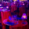 Party for the Senses at the Epcot International Food & Wine Festival