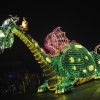 An After-Dark View of Magic Kingdom Park’s Main Street Electrical Parade