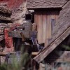 Splash Mountain at Magic Kingdom Park