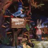 Splash Mountain at Magic Kingdom Park