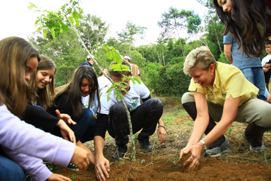 Disney Plants Three Million Trees in Endangered Tropical Forest Disney Plants Three Million Trees in Endangered Tropical Forest
