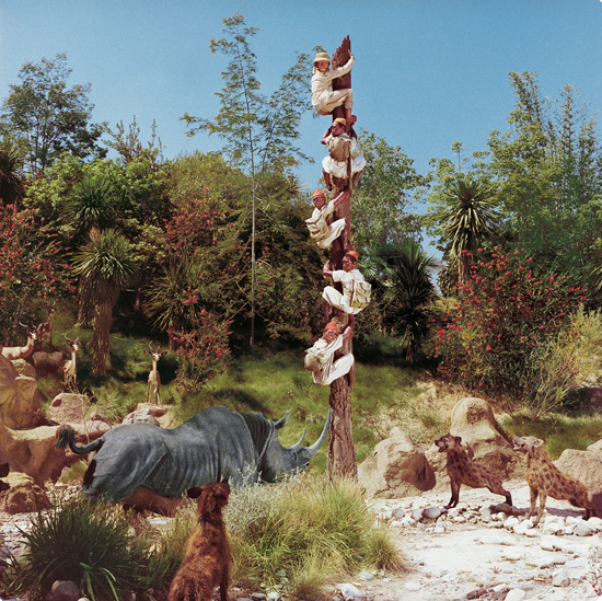Caption This: The Jungle Cruise Sends Safari Guides Up a Tree at Disney Parks