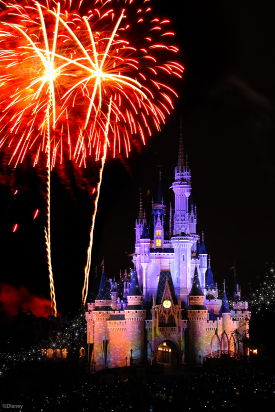 A Magical Disney Parks Engagement at Magic Kingdom Park “A