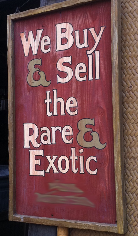 Can You Remember the Punchline on The Jungle Cruise Sign at Disneyland Park? Can You Remember the Punchline on The Jungle Cruise Sign at Disneyland Park?