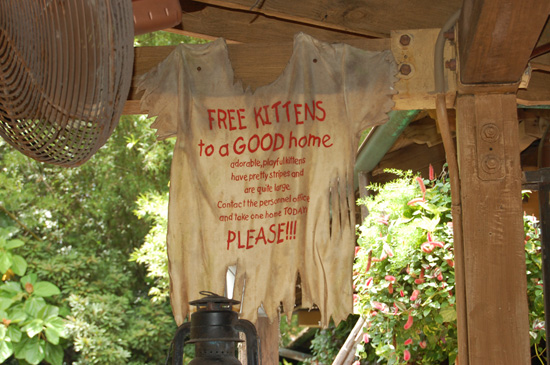 The Jungle Cruise at Magic Kingdom Park The Jungle Cruise at Magic Kingdom Park