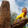 The Lion King Wing at Disney’s Art of Animation Resort