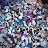 Mr. Potato Head Eyes at Once Upon A Toy in Downtown Disney Marketplace at Walt Disney World Resort