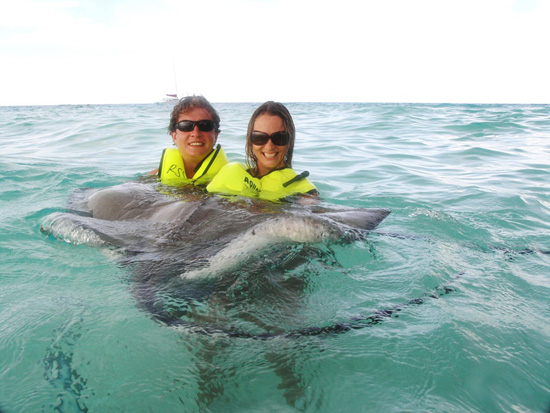 “Stingray
