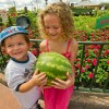 Epcot International Food & Wine Festival at Walt Disney World Resort