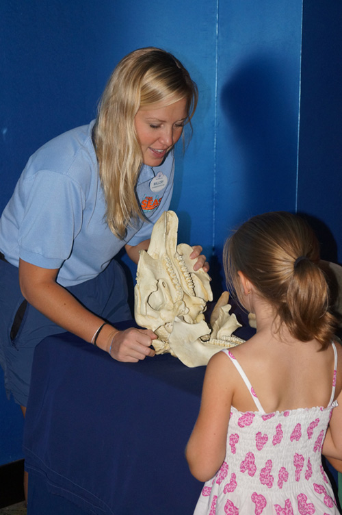 Guests Can Learn About Manatees at The Seas with Nemo & Friends at Epcot During International Manatee Day