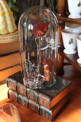 Enchanted Rose