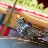 Disney Parks After Dark: Hollywood After Dark
