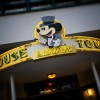 Disney Parks After Dark: Hollywood After Dark