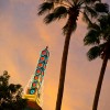 Disney Parks After Dark: Hollywood After Dark