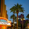 Disney Parks After Dark: Hollywood After Dark