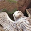The Faces That Guard Beast’s Castle in New Fantasyland at Magic Kingdom Park