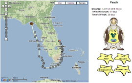 Peach's Tour de Turtles Map from Disney’s Vero Beach Resort