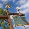 Enchanted Tales With Belle