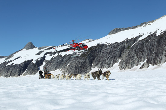 Try Your Hand at Dog Sledding With Adventures by Disney Experiences on a Disney Cruise to Alaska