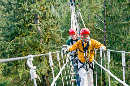 Venture to the Rainforest for a Thrilling Zip-Lining or Sky Bridge Adventure With Adventures by Disney Experiences on a Disney Cruise to Alaska