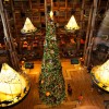 Disney’s Wilderness Lodge