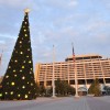 Disney’s Contemporary Resort