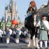 Disney Parks Christmas Day Parade Taping at Walt Disney World Resort