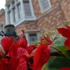 Celebrate the Holidays at the International Pavilions in Epcot at Walt Disney World Resort