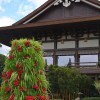 Celebrate the Holidays at the International Pavilions in Epcot at Walt Disney World Resort
