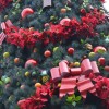 Celebrate the Holidays at the International Pavilions in Epcot at Walt Disney World Resort