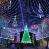 D23 Celebrates Magic and Merriment at Walt Disney World Resort
