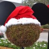 Downtown Disney at Walt Disney World Resort is Full of Holiday Cheer