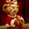 Duffy the Disney Bear – Holidays at Walt Disney World Resort