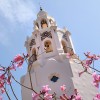 The Carthay Circle Restaurant and Lounge At Disney California Adventure Park