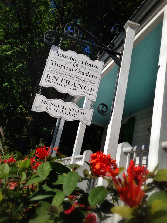Disney Miami Cruise Highlights from Key West, Nassau and Castaway Cay