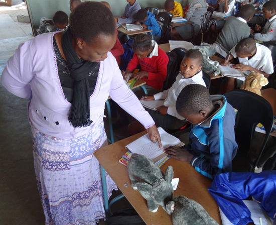 From Elephants to Educators — Disney Helping African Wildlife by Helping African Communities
