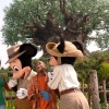 Meet Mickey and Minnie at the New Adventurers Outpost in Disney’s Animal Kingdom