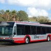 One of Several Busses that Debuted at Walt Disney World Resort this Week Sporting a New Design and Color Scheme