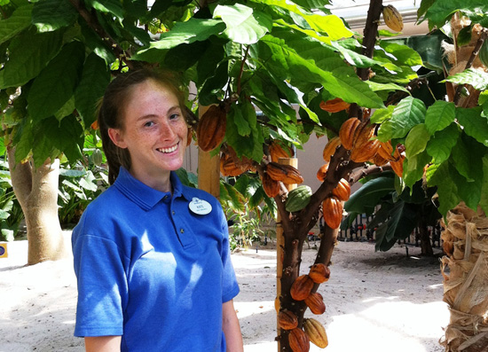 Cacao Trees in Full Bloom at The Land Pavilion at Epcot Cacao Trees in Full Bloom at The Land Pavilion at Epcot
