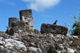 Disney Cruise Line Adventures in Cozumel