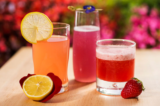 Epcot Flower and Garden Festival drinks Epcot Flower and Garden Festival drinks