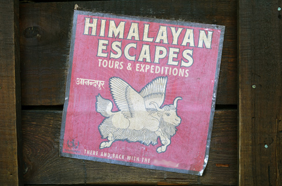 Can You Finish This Sign from Disney’s Animal Kingdom? Can You Finish This Sign from Disney’s Animal Kingdom?