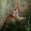 Maharajah Jungle Trek at Disney’s Animal Kingdom
