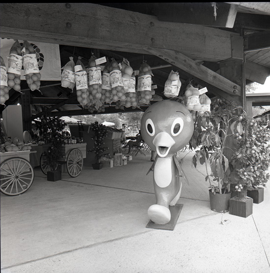 Orange Bird at Lake Buena Vista Shopping Village (Now Downtown Disney) in the 1970s