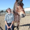 Horses Bug and Finn Join the Cast at Disneyland Resort