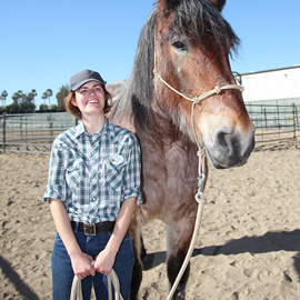 Circle D cast member Aleks Phipps poses with newly acquired Brabant, Bug. Bug weighs 1,620 lbs and stands 16.3 hands (or 5 feet, 7 inches from his feet to his withers).