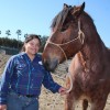 Horses Bug and Finn Join the Cast at Disneyland Resort